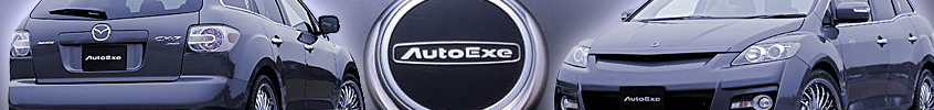 AutoExe